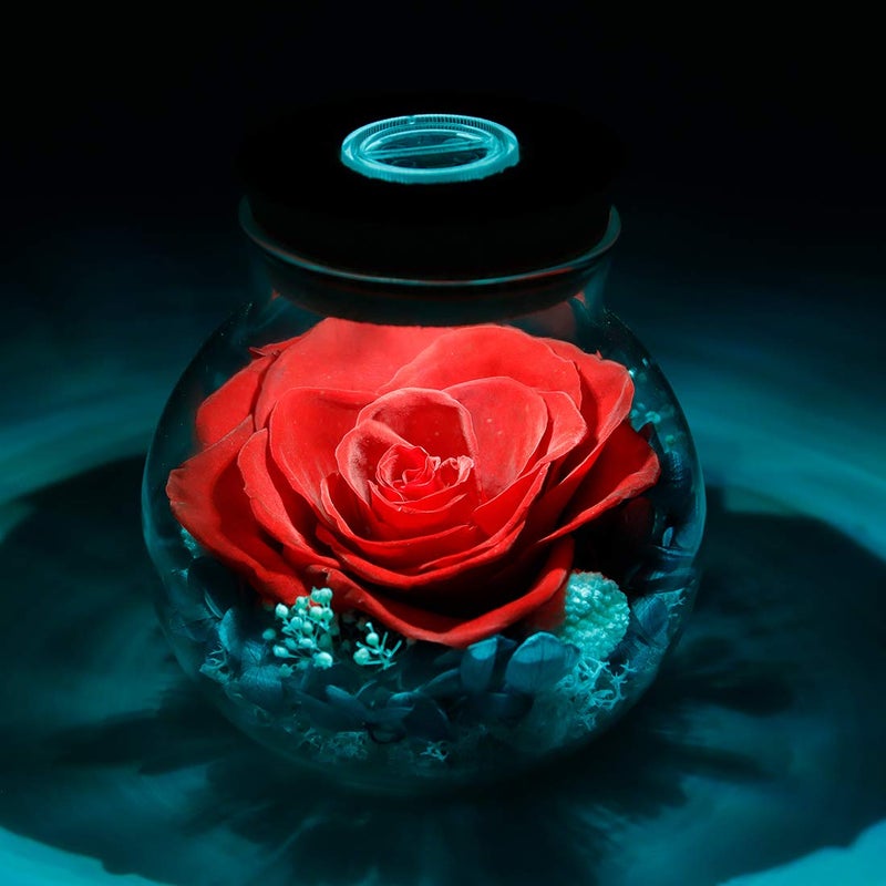 roliys Preserved Real Roses with Colorful Mood Light Wishing Bottle, Eternal Roseï¼ŒNever Withered Flowers, Table Decor,Christmas Anniversary Valentine's, Red 4.3inch, 1pcs - Image 5